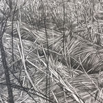 Dale Emmart, Swell, Nocturne for 17, 2017