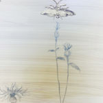 Marilla Palmer, The Hypnotic Bouquet, 2018