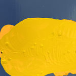 Laura Bidwa, Artist Talk 17, 2023