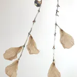 Marilla Palmer, Willow, Willow, 2017