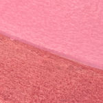 Ky Anderson, Bird Conservation, 2018