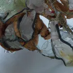 Nancy Cohen, Soluble, 2014