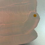 Laura Bidwa, Artist Talk 17, 2023