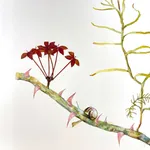 Marilla Palmer, More Than a Rose, 2022