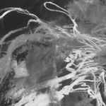 Tamar Zinn, Where I find myself 30, 2021