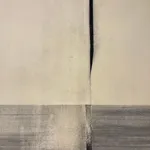 Daniel Brice, Figure/Pacific #8, 2022