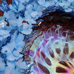 Hunt Rettig, Prescribe, 2026