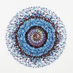 Annalù, Violet Lotus Light Disc