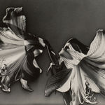 Carlotta Corpron, Woven Light, 1945