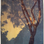 William Dassonville, San Francisco from Telegraph Hill, California, c. 1920s