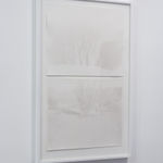 scott b. davis, ocotillo, arizona upland, 2013