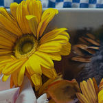 Heather Drayzen, Bleeding Hearts, 2025