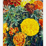 Heather Drayzen, Bleeding Hearts, 2025