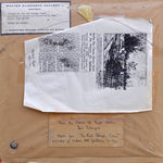 Berthe des Clayes, Sketch for the Red Sleigh, Como