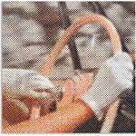 Maggie Hall, Sorry for Your Loss, 2024