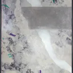 Gay Patterson, Silverbank I, n.d.