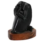 Janet Lippincott, Black Knight (JL121), n.d.