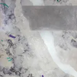 Gay Patterson, Silverbank I, n.d.