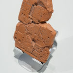 Nicolás Lamas, Network cross section, 2024