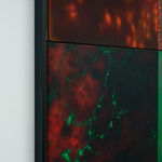 Natacha Donzé, Repository, preserved remains, 2023