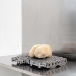 Nicolás Lamas, Litho-ergonomy, 2021