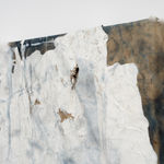 Rindon Johnson, I'll call my baby anything, 2022