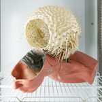 Nicolás Lamas, Biosynthetic transmutation, 2022