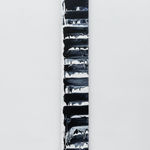 David Reed, #659 (Vice and Reflection), 1975/ 1996-2000/ 2007-2011/ 2014-2015/ 2015-2016/ 2016