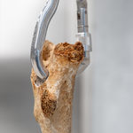 Nicolás Lamas, Litho-ergonomy, 2021