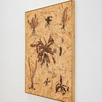 Julius von Bismarck, We Were All Naked (Red Elephant Ear), 2023