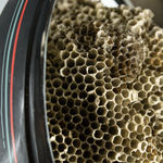 Nicolás Lamas, Network collapse, 2019