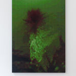 Troika, In a Forest of Red, Green and Blue (Aktaion), 2023