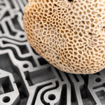 Nicolás Lamas, Litho-ergonomy, 2021