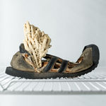 Nicolás Lamas, Eco-extinction, 2022