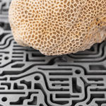 Nicolás Lamas, Litho-ergonomy, 2021