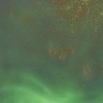 Natacha Donzé, Repository, preserved remains, 2023