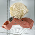 Nicolás Lamas, Biosynthetic transmutation, 2022