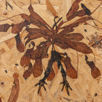 Julius von Bismarck, We Were All Naked (Red Elephant Ear), 2023