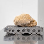 Nicolás Lamas, Litho-ergonomy, 2021