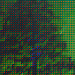 Troika, In a Forest of Red, Green and Blue (Aktaion), 2023