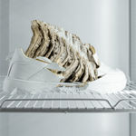 Nicolás Lamas, Fossilized Present, 2021