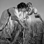 Micha Bar-Am, Rachel and Orna, Omer - Harvest ceremony, Kibbutz Ramat Yohanan, 1958