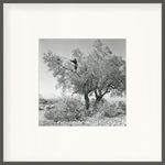 Micha Bar-Am, Paratroopers on Temple Mount, Jerusalem, 1967