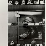 Ishiuchi Miyako, Suidobashi, 1981