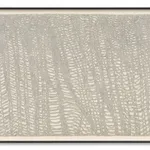 JAMES SIENA, Omnium, 2023-2024