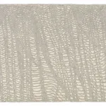 JAMES SIENA, Omnium, 2023-2024