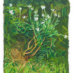 MATHIEU CHERKIT, Tangerine Nuts, 2025