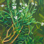 MATHIEU CHERKIT, Tangerine Nuts, 2025