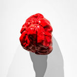 大卷伸嗣, 《肖像》 Portrait , 1995