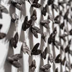 安娜・瑪瑞亞・米庫, 《湖泊和池塘。 …… 水柱》 lakes and ponds. ... water column, 2025